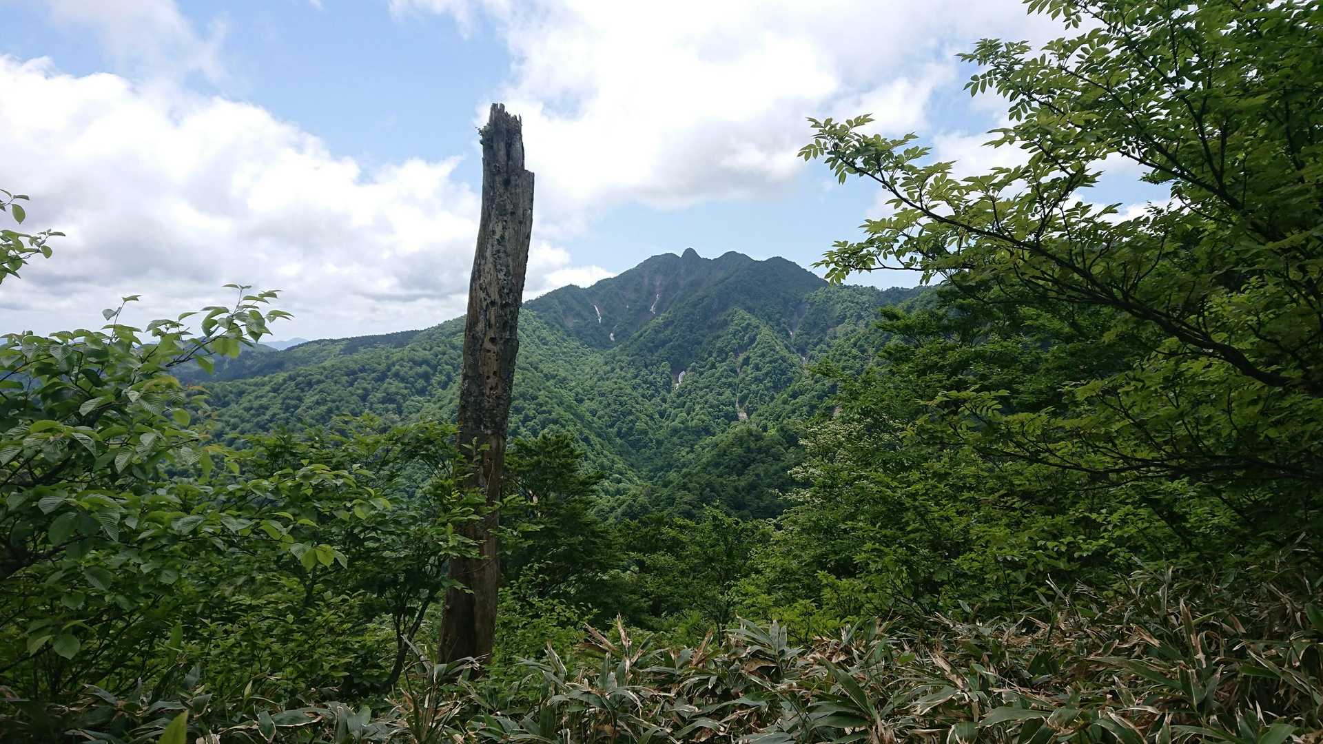 大休峠-矢筈ヶ山 往復コースの写真