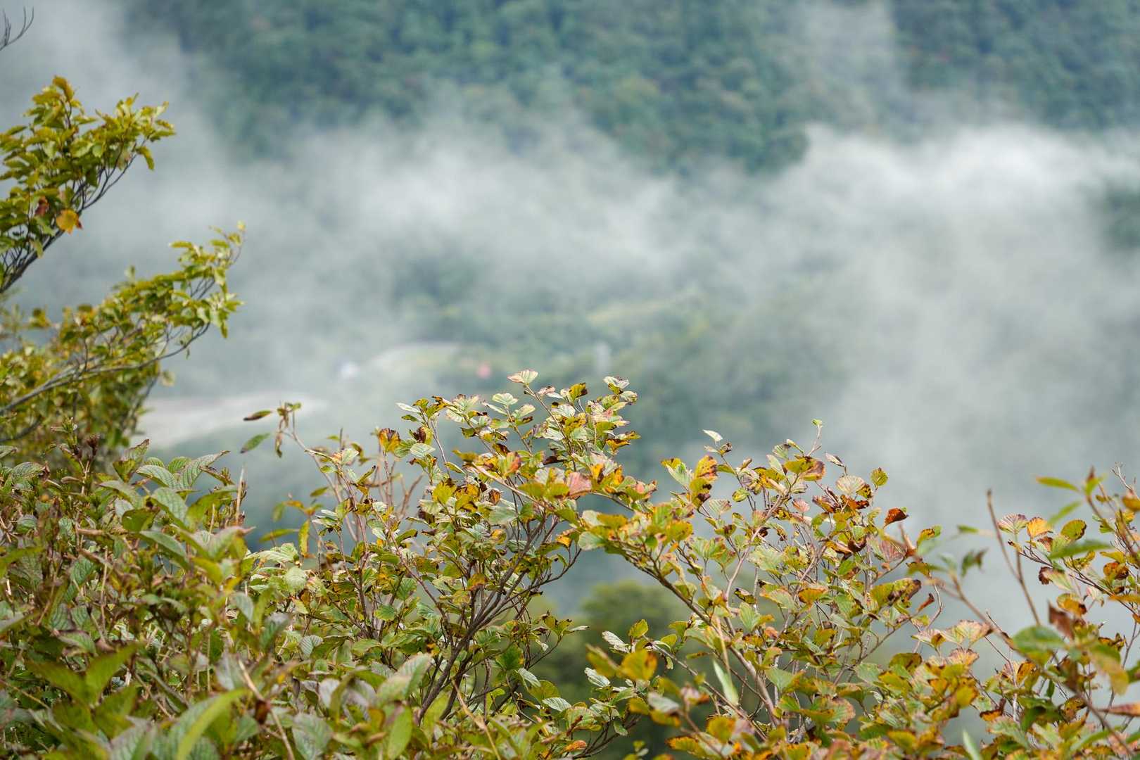 西黒尾根-谷川岳縦走コースの写真