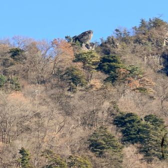 旧国民宿舎への林道から望む