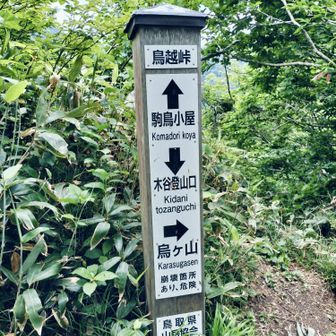 やっと鳥越峠に出たー
