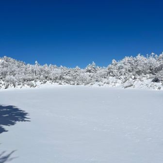 ちょっと足を伸ばして七ツ池へ行ってみました。
真っ白でした。
ここ、実は池の上？