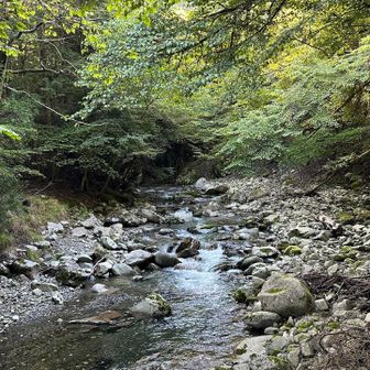 秋の気配を感じます🍁