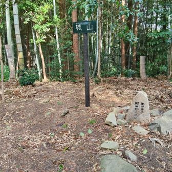 山頂標識と石碑