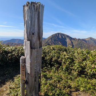 🐰兎岳やっと到着。
兎岳🐰の名前がつく山はどこも大変？