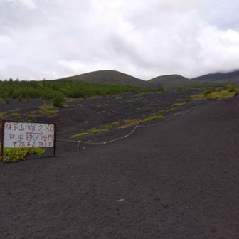 双子山も登ります。