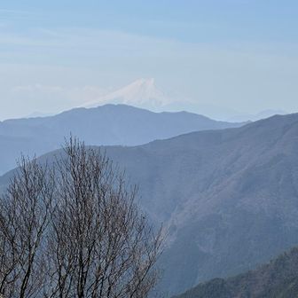 拡大して富士山