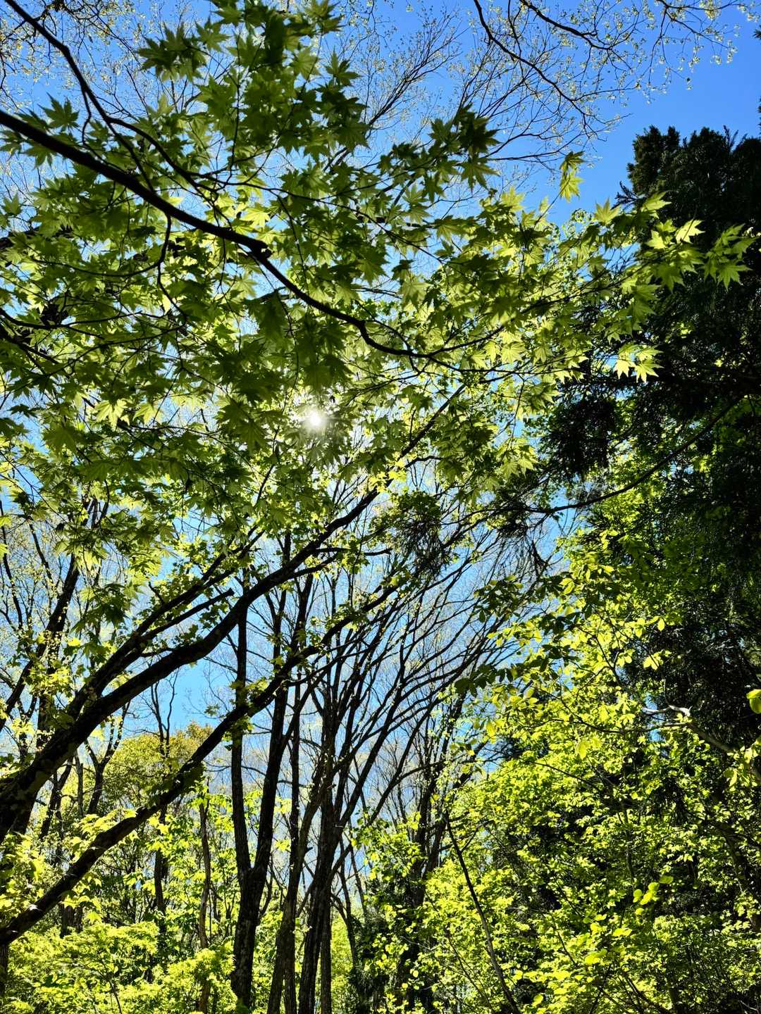 今日は天気いい☀️