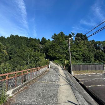 戻って来ました🐾