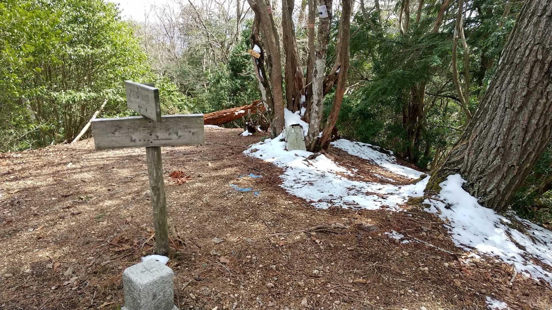 🔺高城山二等三角点
◬高城峠1111.23ｍ