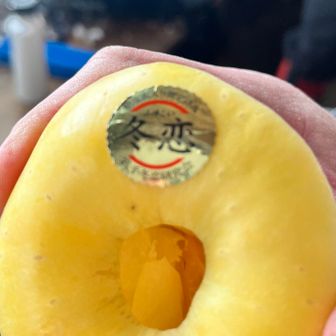 冬恋という糖度16度以上🍎最高品質のプレミアムりんごです〜✨✨✨✨✨✨