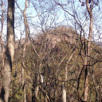 古御岳から伊豆ケ岳。