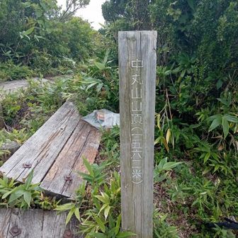 良く整備された道を50分ほど歩いて、中丸山に着きました。