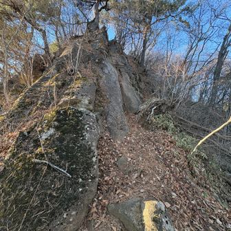 しらのさわルートで下ります

高川山直下に岩壁あり

ロープあり👌
