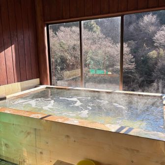 湯の花が縁につくような良い温泉♨️
貸切りでした•*¨*•.¸¸♬︎