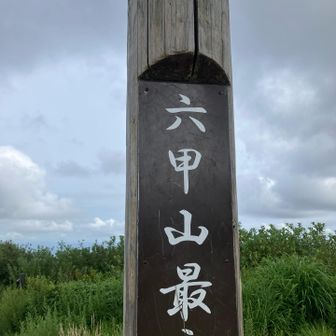 無心で歩いていたら北山をスルーしてしまいました。
まあそれはまた今度、ここから西お多福を通って下山します。