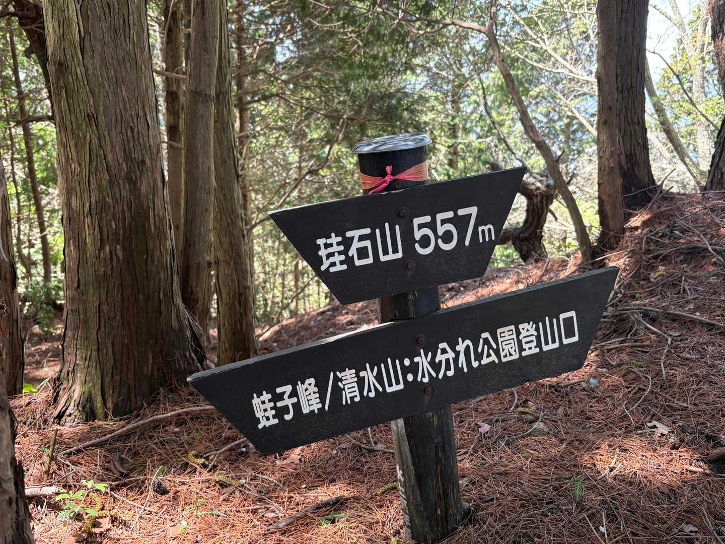 珪石山（けいせき）⛰️