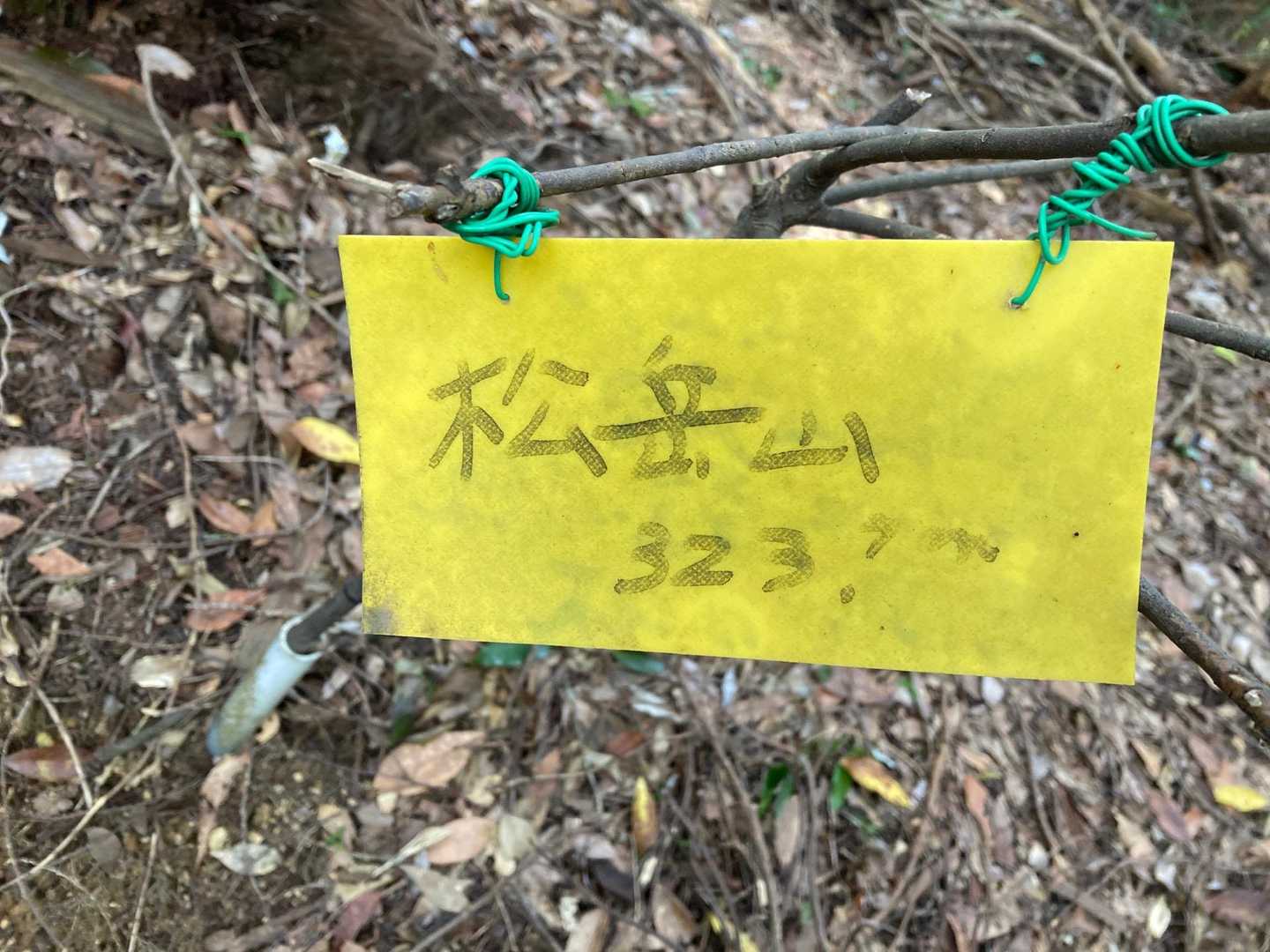 松岳山 往復コースの写真