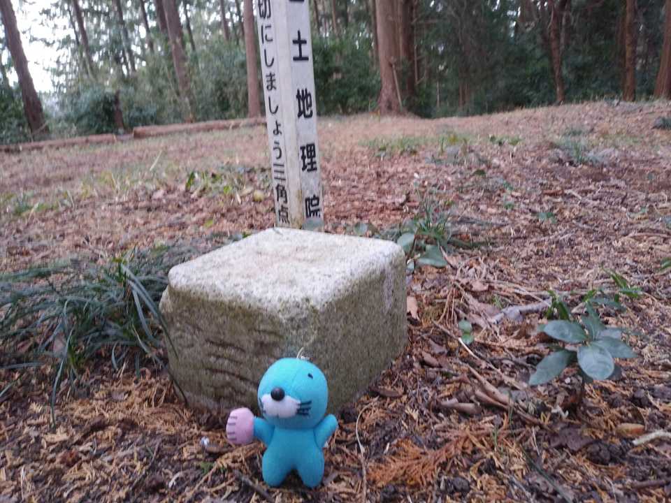 山頂到着