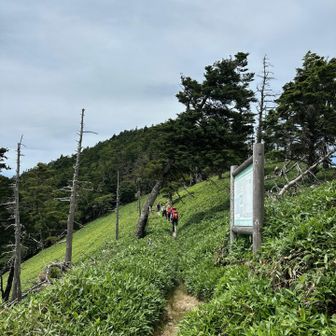 しかし、暑すぎて今日はパスすることになりました。