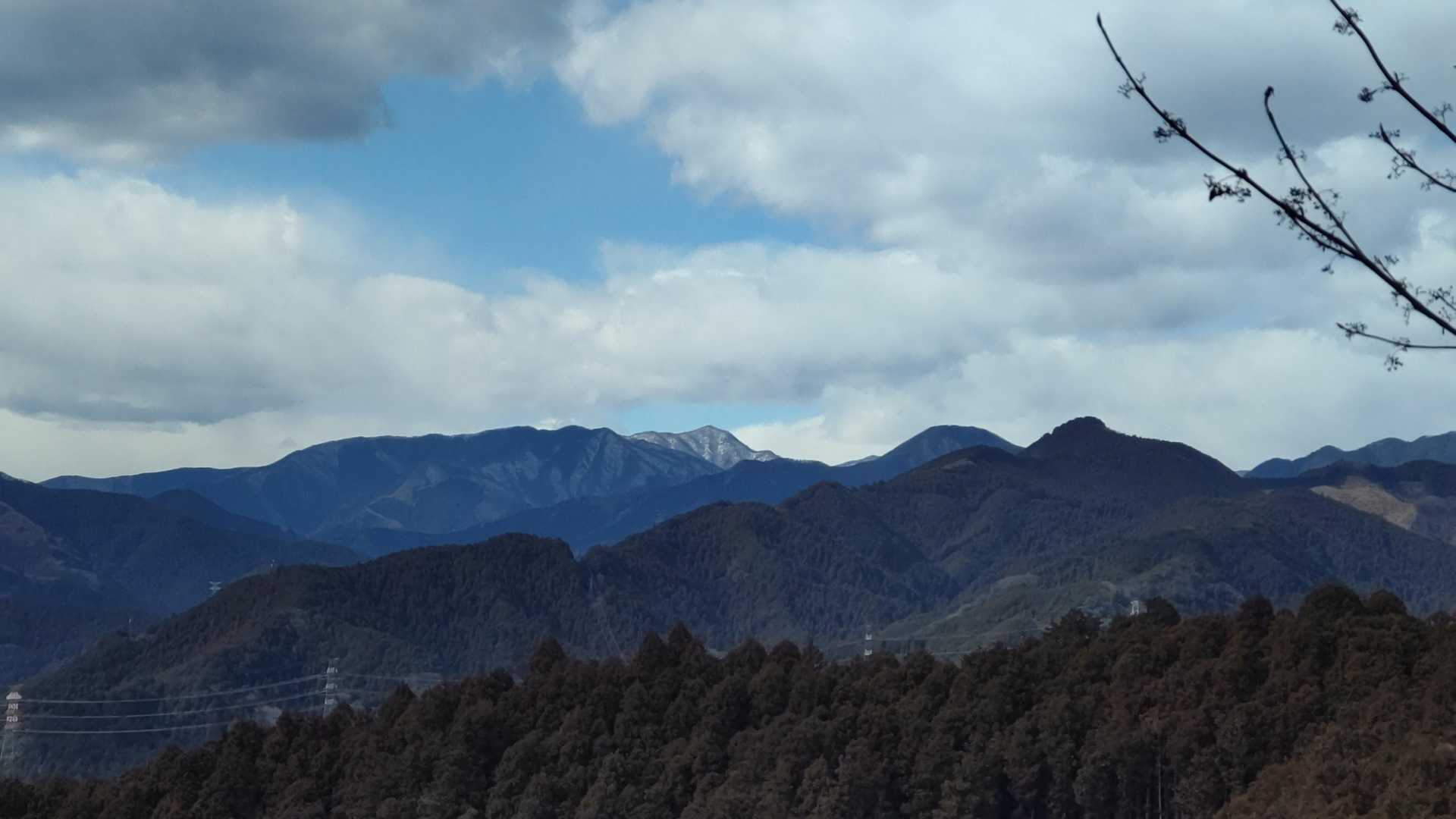 これ、遠くの白いの雲取山？