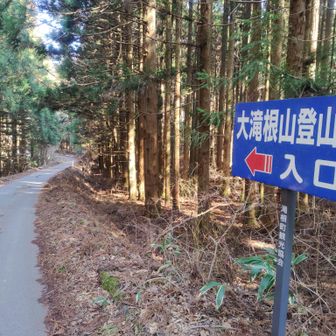 アスファルトを歩き