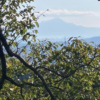 👱‍♂️ 昨日は
見えなかったんだけど…

今日は…

大山（だいせん）が見えますよ