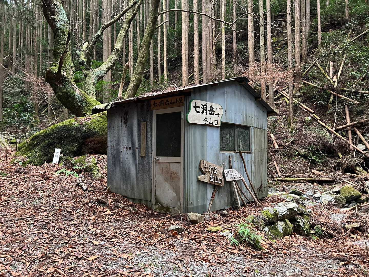 そして休憩小屋に到着👏
っても登山口から10分も経ってへんからここはスルー😁