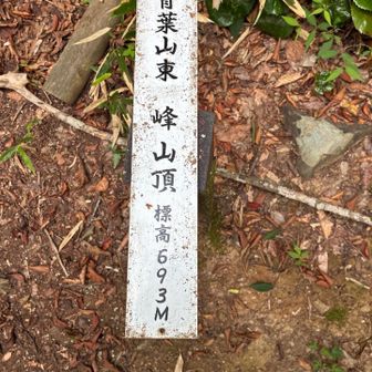 まずは東峰