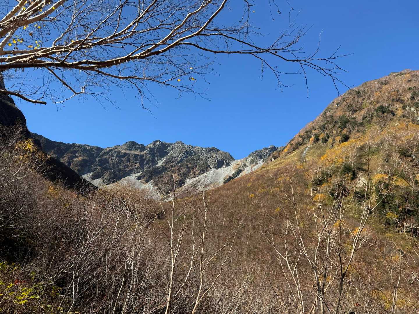 ２週間前は１１年ぶりの紅葉当たり年だったそうですが、ご覧の通り晩秋となってしまいました。