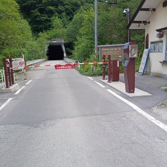 ゴール　ほぼコースタイム