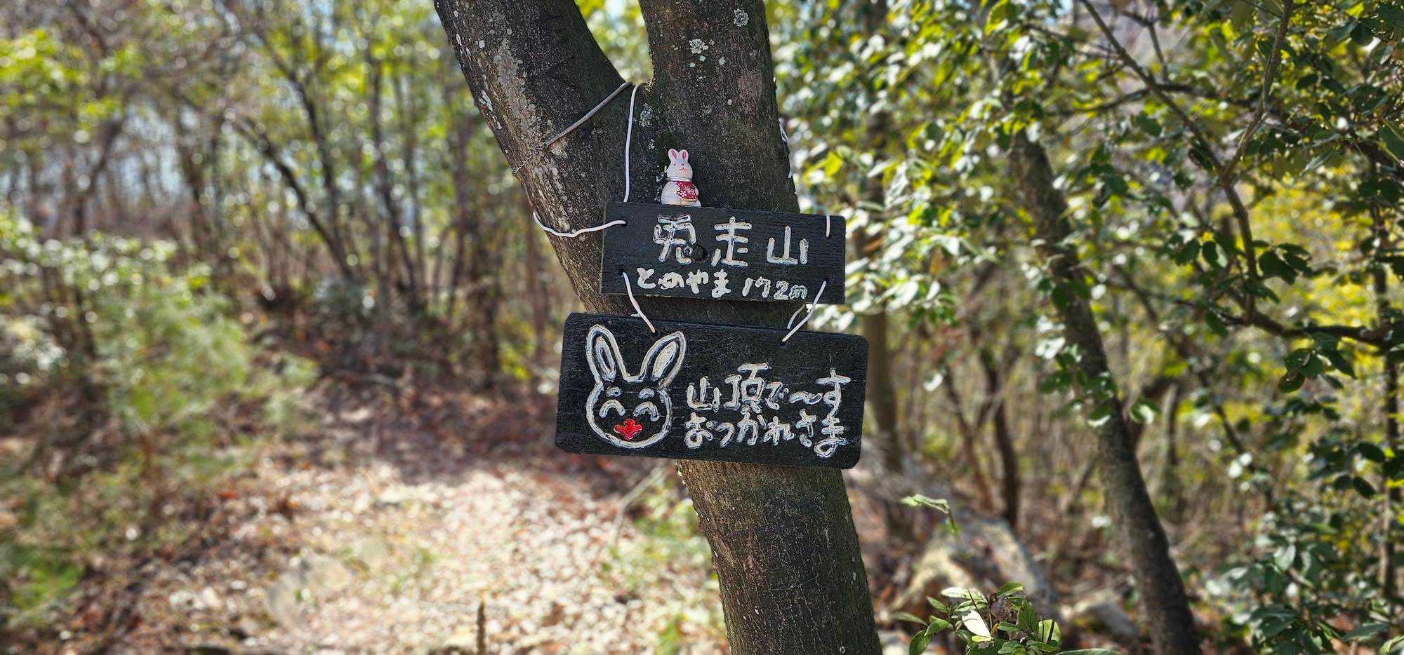 登り返して兎走山（とのやま）
