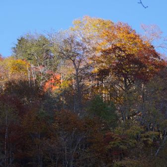 一不動からの下りは紅葉がきれい