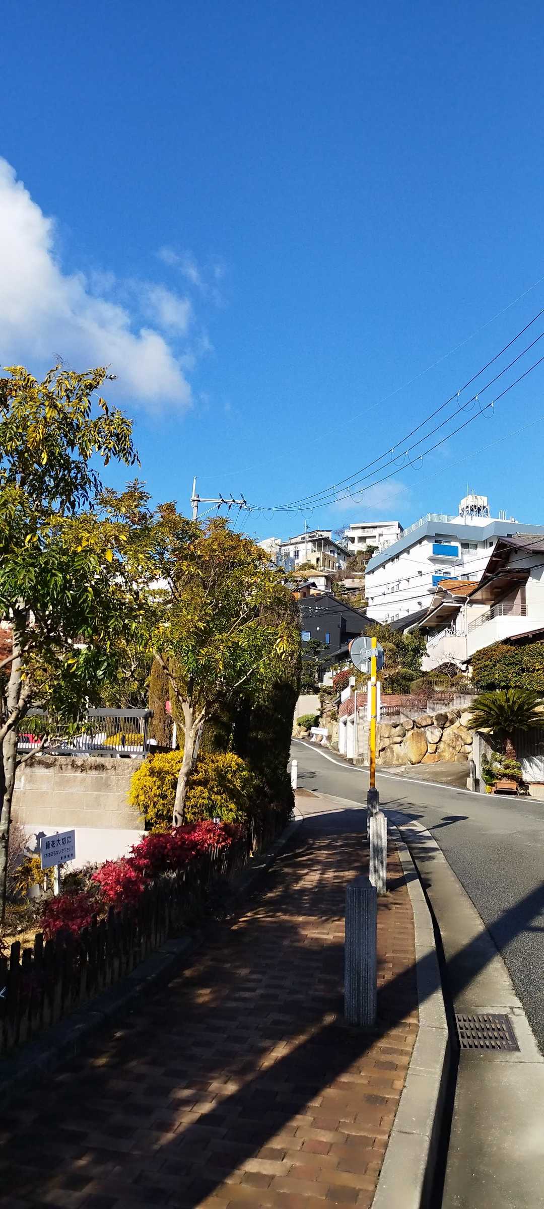 空が青い🔷

住宅街をひたすら登ります