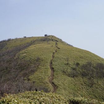 ラストの坂を登り切った後、やはり眠気に勝てず、避難小屋の前で30分昼寝をしました💤

昼寝にピッタリの気候でした😚✨