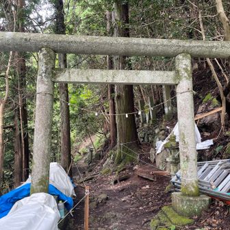 鳥居をくぐり、いざ出発！