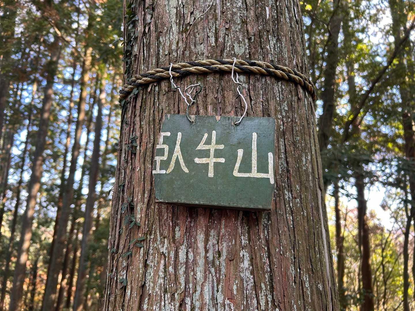 臥牛山