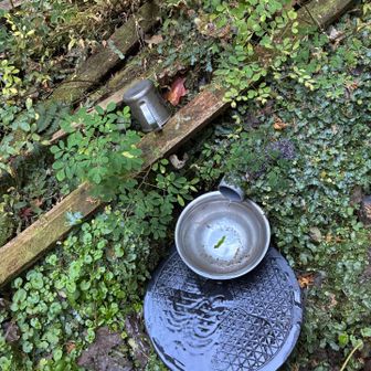 車道に出る直前の水場。