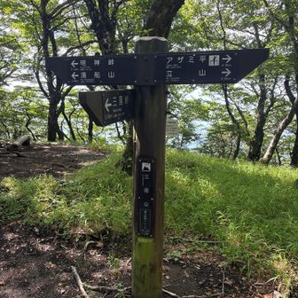 何年振りだろうか…
神奈川・山梨・静岡の各県境はどこだろう？