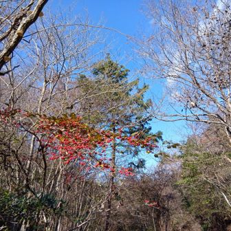 下山ルートで晴れてきた。