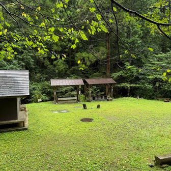 キャンプ場⛺️らしい🟢✨