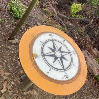 良い天気だとここから富士山🗻も見えるらしい
今回は見えませんでした〜