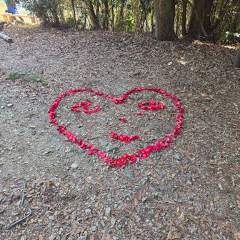 この写真は多くの方がアップされてますが、日々、ビミョーに顔が変わっている様に思うのですが…
それを見るのも楽しいですね。