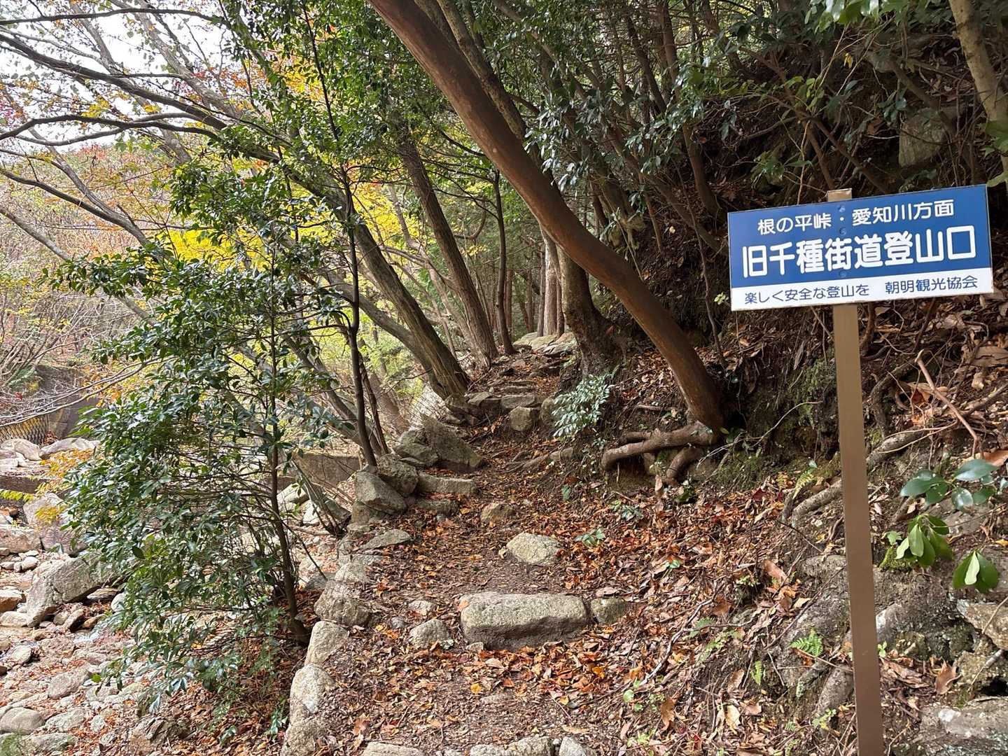 歩きやすいよー