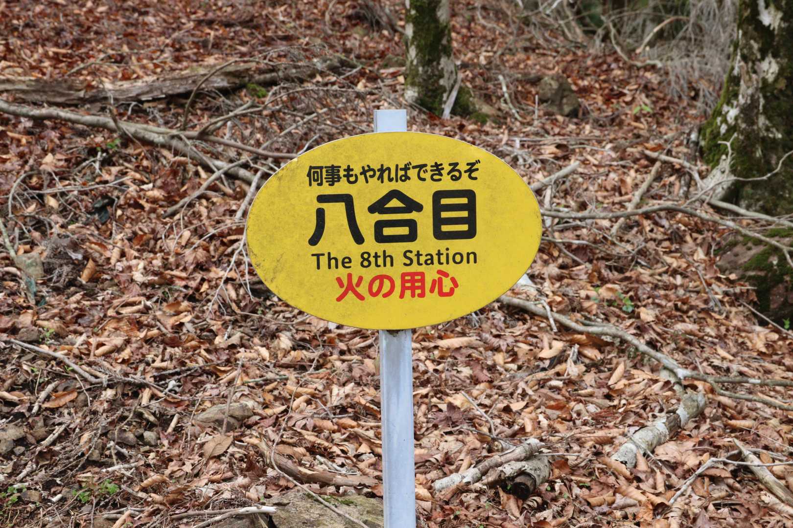 心に沁みる一言😍。