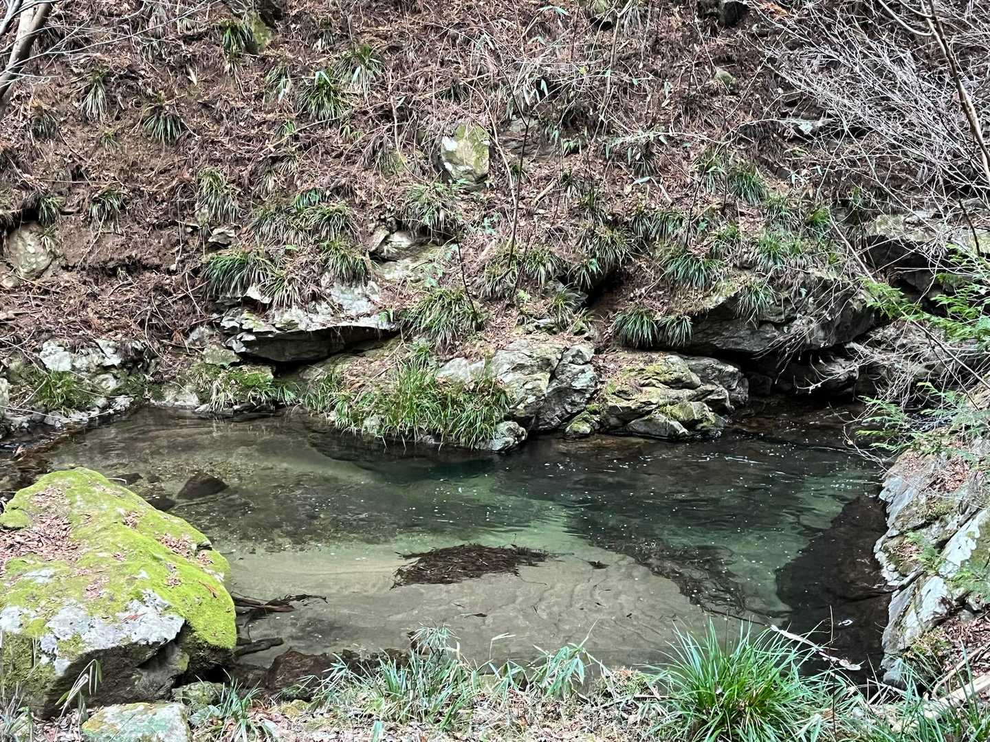 透明で美しい✨