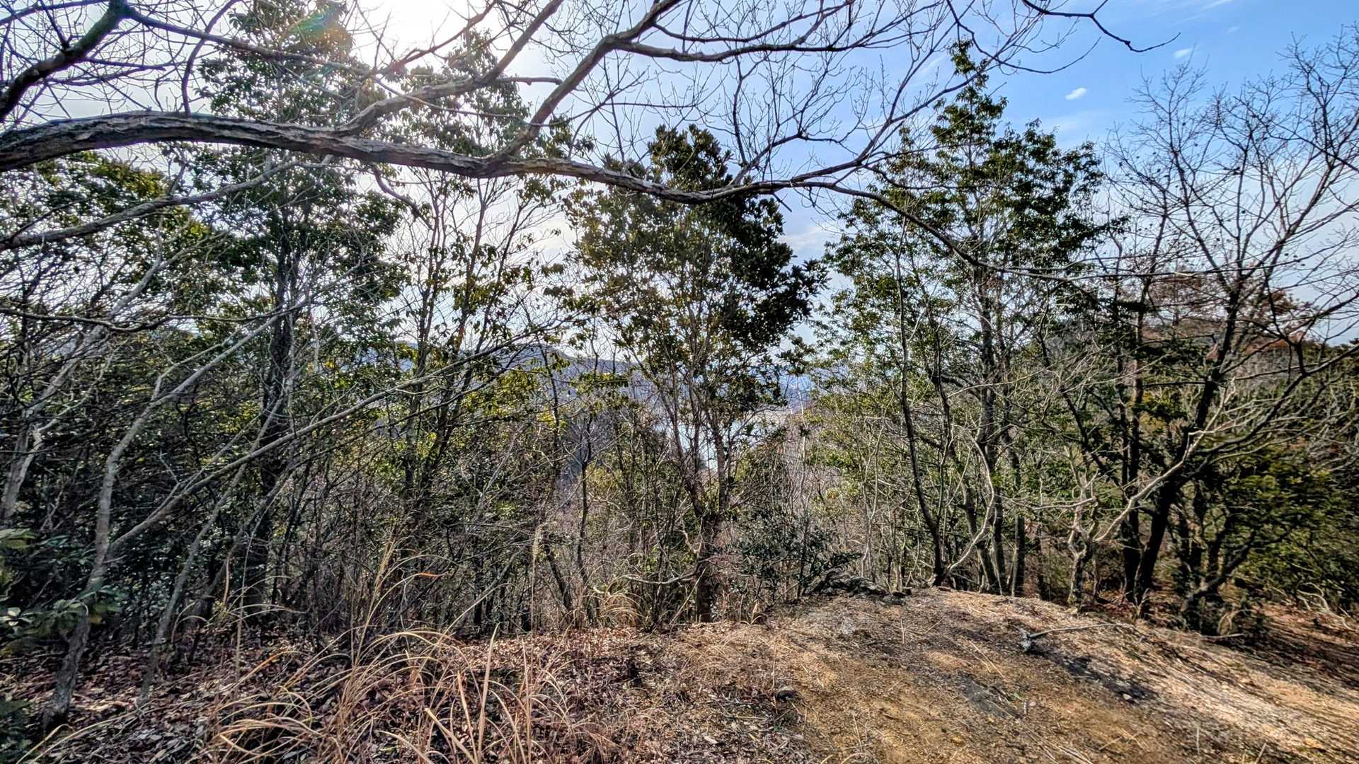 全く展望なし…不謹慎な事言うけど。
ちょっとぐらい焼けとけ！😆笑
焼山やろ！！本気出せや！😆笑