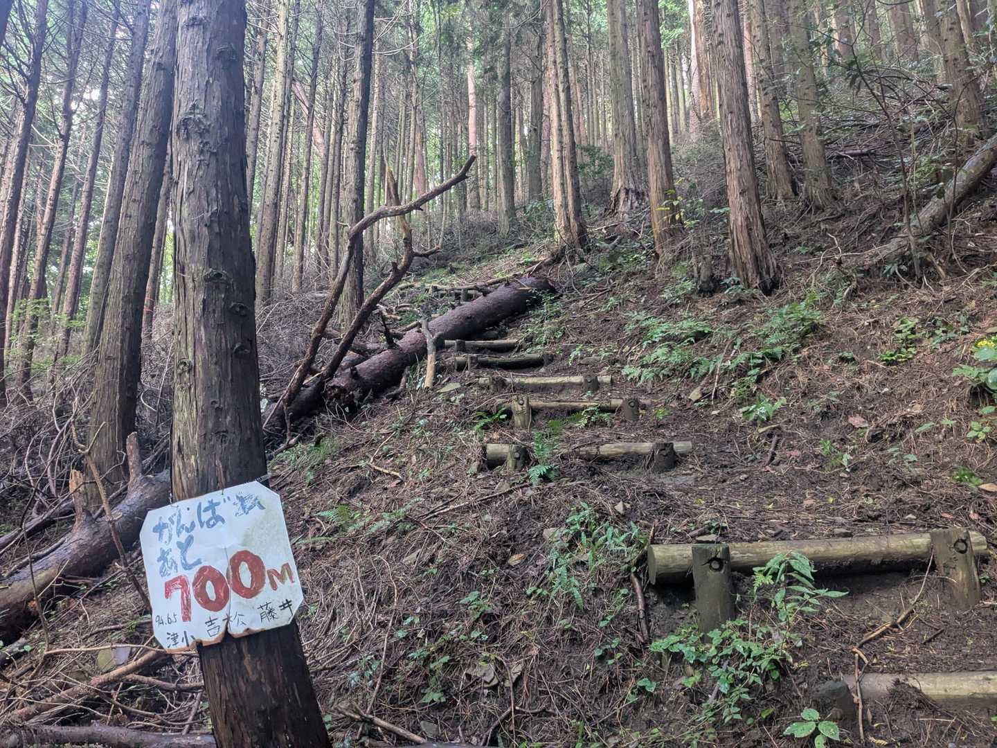 しかし、この案内板励ましの言葉に奮い立ち。。。
