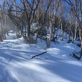 完全にトレースリセットされてます。腿まで埋まるから、一歩が大変なの🥹