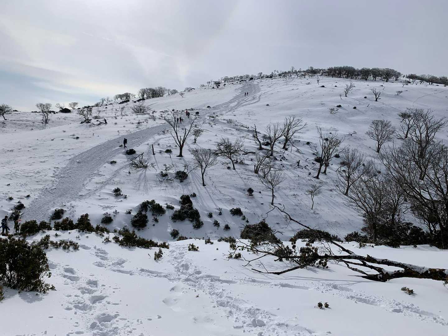 さぁ藤原岳山頂へ