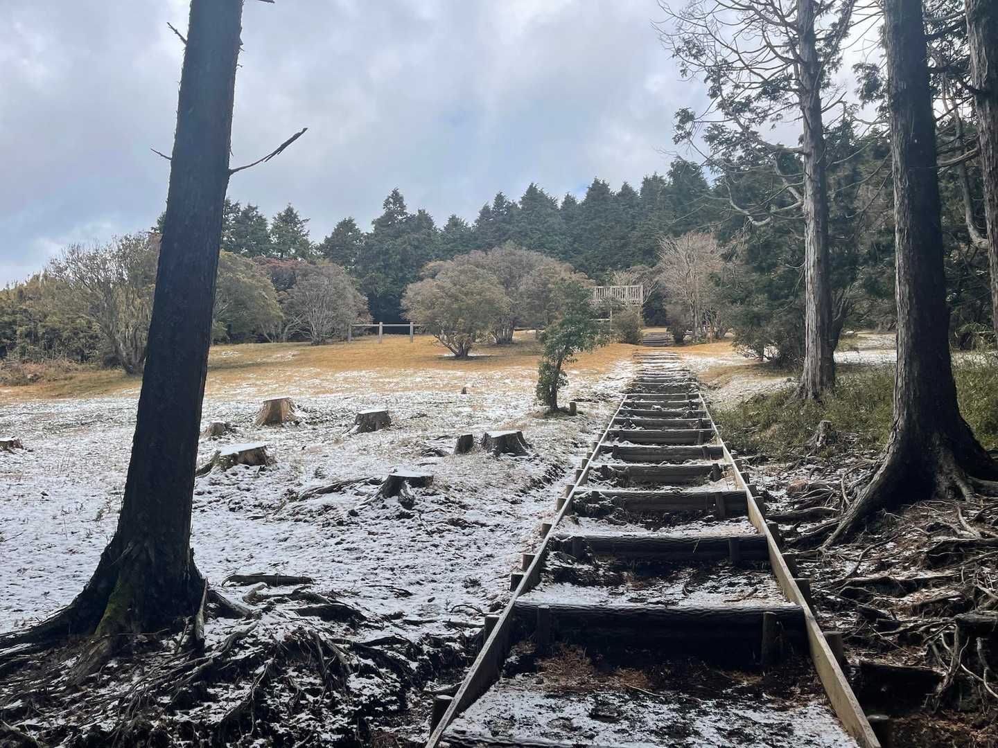 位牌岳（長泉町森林公園）の写真